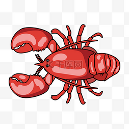小海鲜螃蟹图片_夏天美食海鲜小龙虾矢量插画