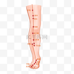 中医管标志图片_腿部穴位图中医