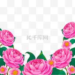 水彩山茶花图片_山茶花水彩花卉粉色边框