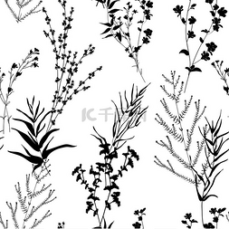 单色花朵图片_轮廓为单色植物馆无缝图案。野枝