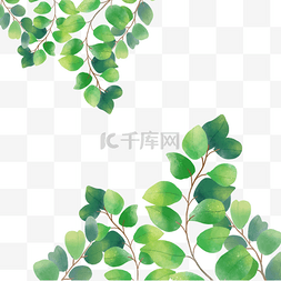 鲜艳绿色植物水彩尤加利叶边框