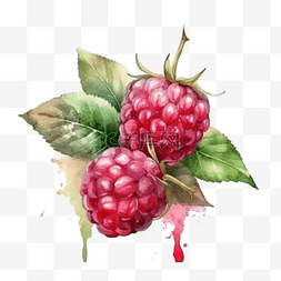 卡通手绘水果树莓