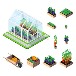 蔬菜插图图片_温室等轴测集温室等距设置与植物