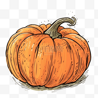 南瓜卡通风格蔬菜图案