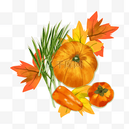 秋天丰收蔬菜水果南瓜农产品果实