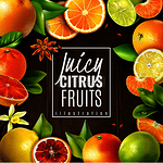 各种多汁的柑橘类水果和调味品在木质背景下的逼真矢量图解