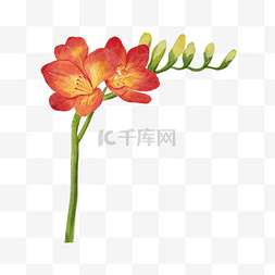 花卉广告牌图片_苍兰红色花朵婚礼花卉