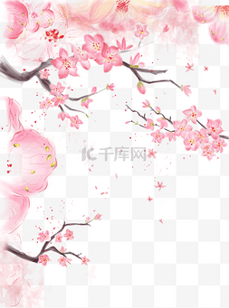 桃花植物粉色