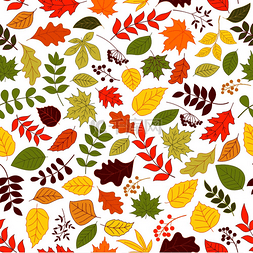 五颜六色的秋天树叶和浆果无缝背