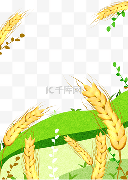 芒种丰收麦子