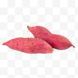 红薯宽粉条图片_沙地红薯