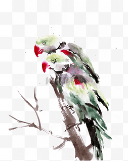 绿色的鹦鹉图片_枝头的鹦鹉