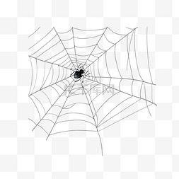 蜘蛛网蜘蛛丝细丝黑色线条