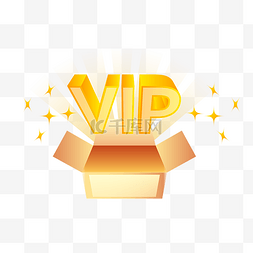 VIP会员金色标识