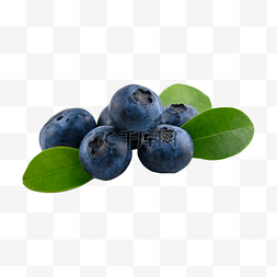 蓝莓浆果食品饮食