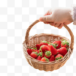 草莓篮子图片_手提草莓篮子水果