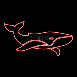 霓虹鲸红色矢量插图图像平面风格