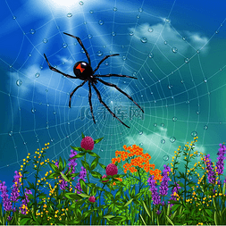 夏季海报蓝色图片_在阳光明媚的夏日，蜘蛛在网上晒