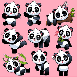 熊猫吃竹子图片_可爱的熊猫。