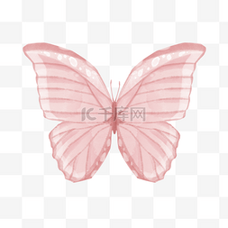 红色蝴蝶图案图片_水彩风红色条纹蝴蝶