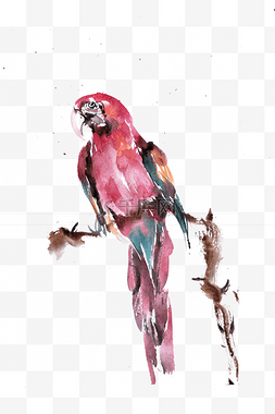 树枝彩色水墨画图片_红色的鹦鹉
