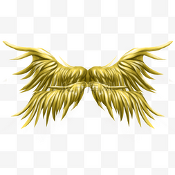 双层羽毛金色的翅膀