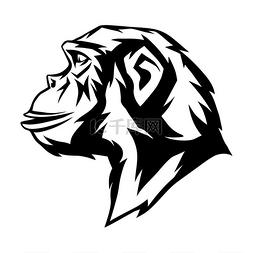 野生猴头动物海报或徽章设计野生