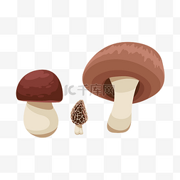 秋天仿真蘑菇