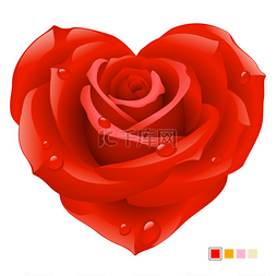 矢量红玫瑰在心的形状