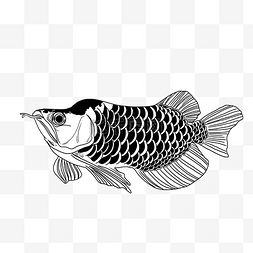 黑色线描小鱼