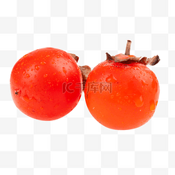 红柿子果实