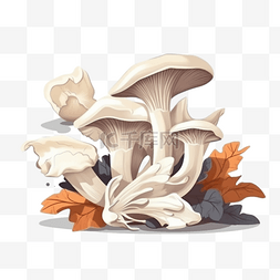 插画蔬菜图片_卡通手绘蔬菜蘑菇