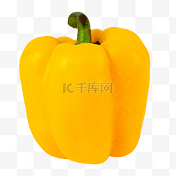 黄秋葵蔬菜的胡子图片_新鲜蔬菜黄色辣椒
