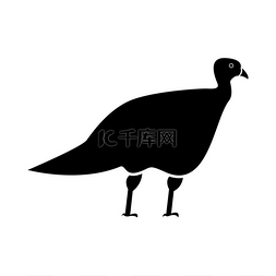 下单母鸡图片_火鸡是黑色图标。