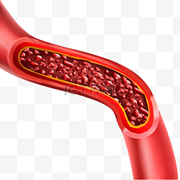 人体红色血管图片_人体血管医学正常动脉插图