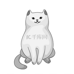 卡通白猫的风格化插图白色背景的