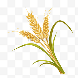 农业草捆图片_农业小麦麦穗
