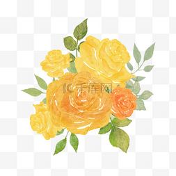 玫瑰黄色图片_水彩晕染玫瑰花卉黄色