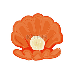 水贝壳图片_打开浅橙色贝壳与闪亮的圆形珍珠