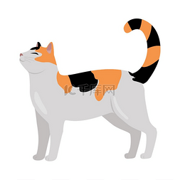 矢量平面设计插图猫品种可爱的三