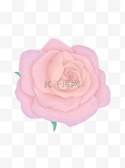 梦幻玫瑰图片_梦幻风38妇女节装饰花朵