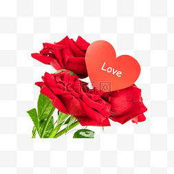 爱情红色玫瑰花