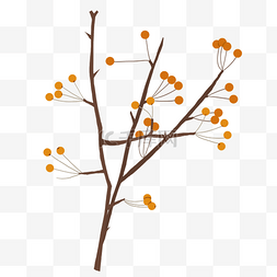 植物树枝浆果黄色棕色秋天手绘免