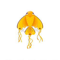 金鱼形状的风筝孤立地象征着 Uttar