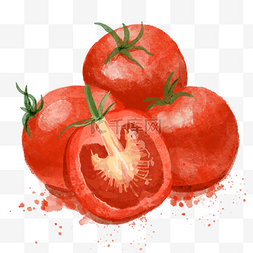 西红柿水彩新鲜蔬菜水果红色
