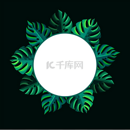 圆形热带绿叶图片_圆形框架热带龟背竹叶、圆形和备