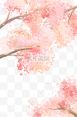 樱花春天樱花节图片_春季樱花树粉色樱花