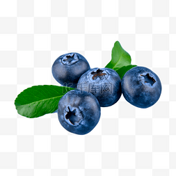 成熟梅子图片_食品蓝色食物蓝莓