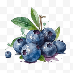 卡通手绘夏季水果蓝莓
