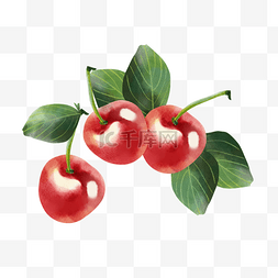 水果大李子图片_水彩夏季水果大颗红樱桃